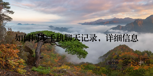 如何同步手机聊天记录，详细信息