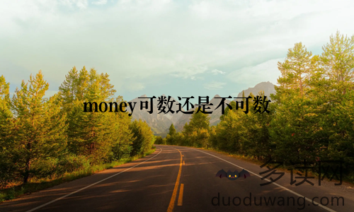 money可数还是不可数