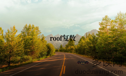 roof复数