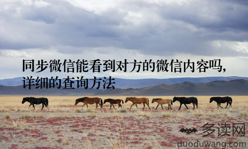 同步微信能看到对方的微信内容吗,详细的查询方法