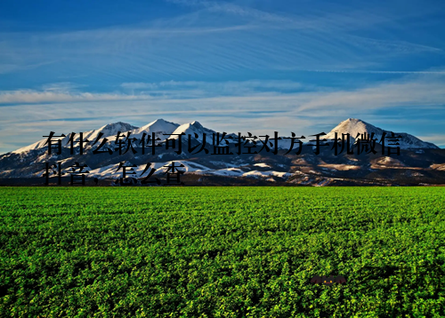 有什么软件可以监控对方手机微信抖音,怎么查