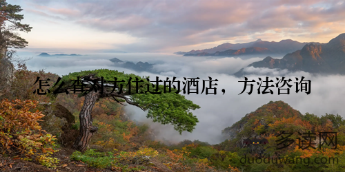 怎么查对方住过的酒店，方法咨询