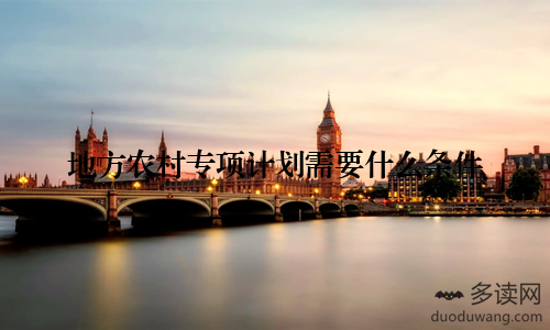 地方农村专项计划需要什么条件