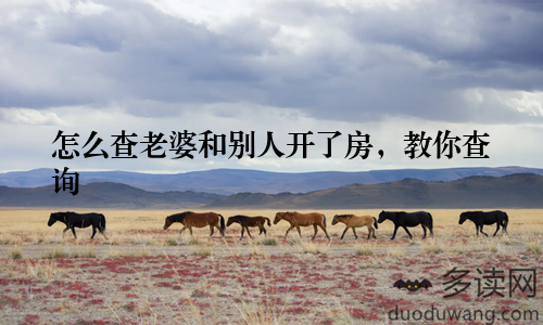 怎么查老婆和别人开了房，教你查询
