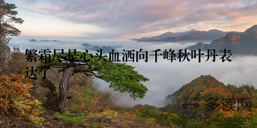 繁霜尽是心头血洒向千峰秋叶丹表达了