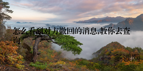 怎么看到对方撤回的消息,教你去查询