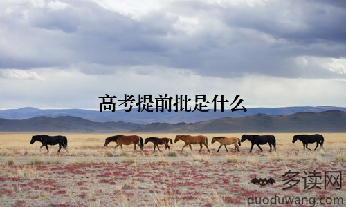 高考提前批是什么