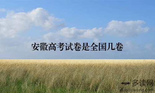 安徽高考试卷是全国几卷