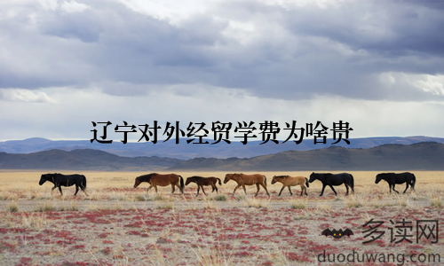 辽宁对外经贸学费为啥贵