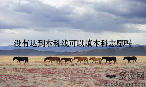 没有达到本科线可以填本科志愿吗