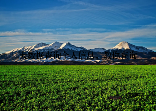 大数据查询个人信息,教你查询