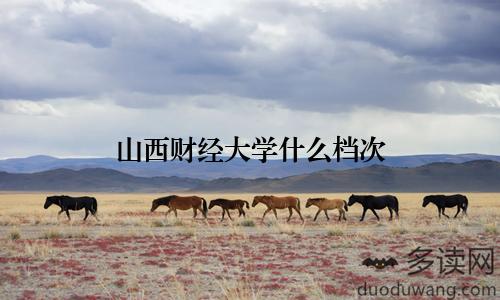 山西财经大学什么档次