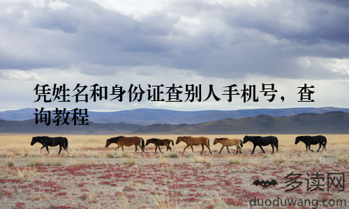凭姓名和身份证查别人手机号，查询教程