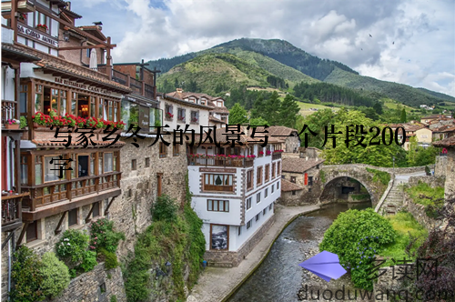 写家乡冬天的风景写一个片段200字