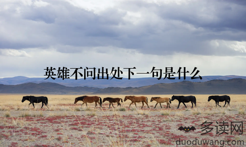 英雄不问出处下一句是什么