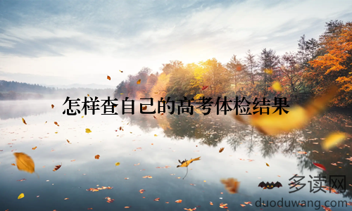 怎样查自己的高考体检结果