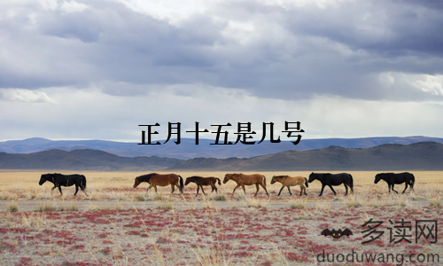 正月十五是几号