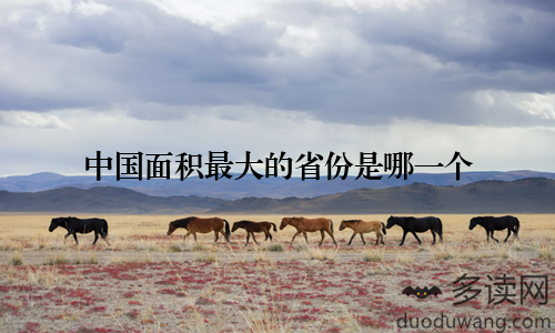 中国面积最大的省份是哪一个