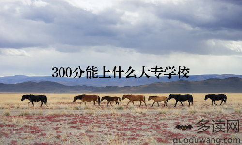 300分能上什么大专学校