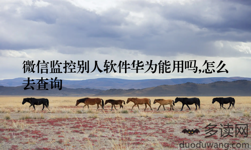 微信监控别人软件华为能用吗,怎么去查询