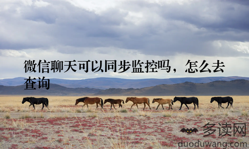 微信聊天可以同步监控吗，怎么去查询