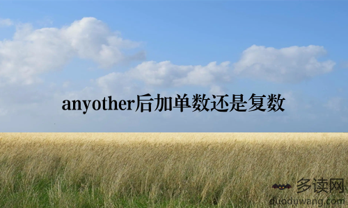 anyother后加单数还是复数