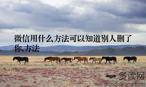 微信用什么方法可以知道别人删了你,方法