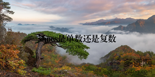 shoes是单数还是复数