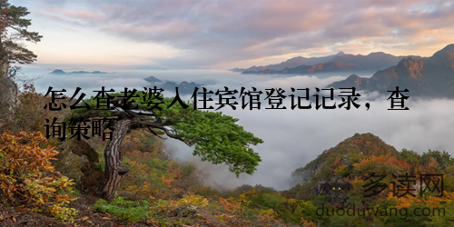 怎么查老婆入住宾馆登记记录，查询策略