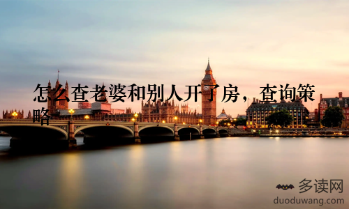 怎么查老婆和别人开了房，查询策略