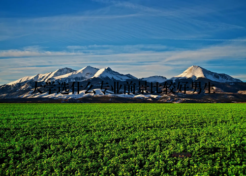 大学选什么专业前景比较好男生