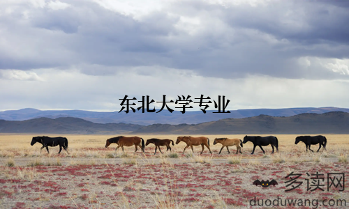 东北大学专业