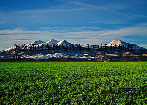 怎么通过车牌号查车主电话,详细查询