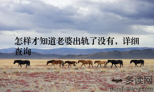 怎样才知道老婆出轨了没有，详细查询