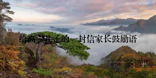 给高三儿子的一封信家长鼓励语