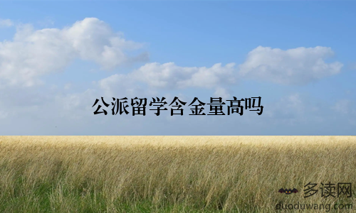 公派留学含金量高吗