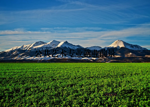 公共艺术专业就业前景