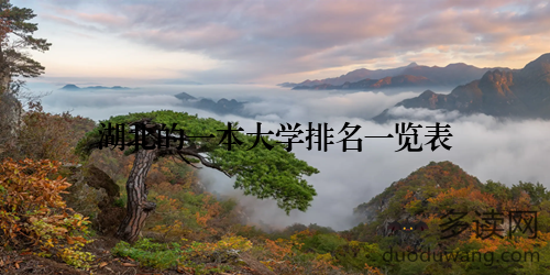 湖北的一本大学排名一览表