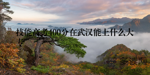 技能高考400分在武汉能上什么大专
