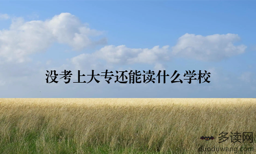 没考上大专还能读什么学校