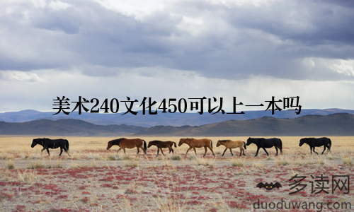 美术240文化450可以上一本吗