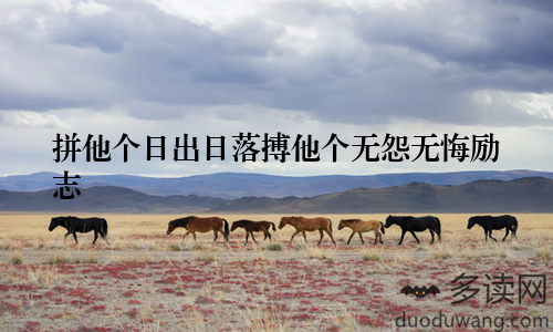 拼他个日出日落搏他个无怨无悔励志