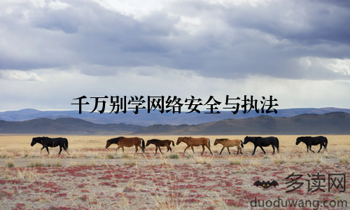 千万别学网络安全与执法