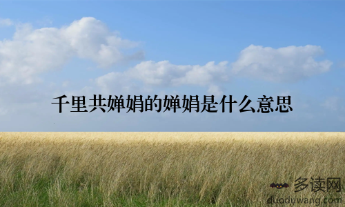 千里共婵娟的婵娟是什么意思