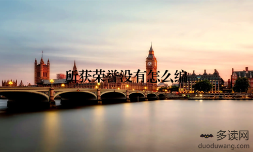 所获荣誉没有怎么编