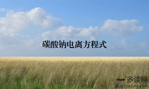 碳酸钠电离方程式