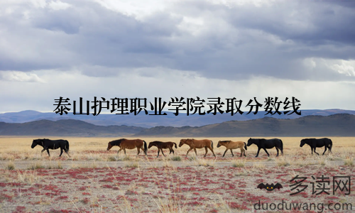 泰山护理职业学院录取分数线