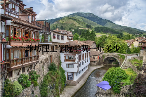 潍坊理工学院学费一年多少