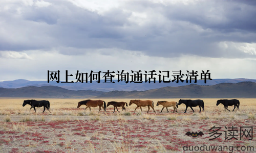 网上如何查询通话记录清单