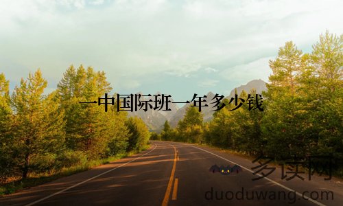 一中国际班一年多少钱